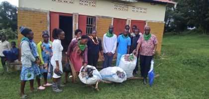 Plastic Bottle Collection