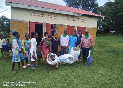 Plastic Bottle Collection